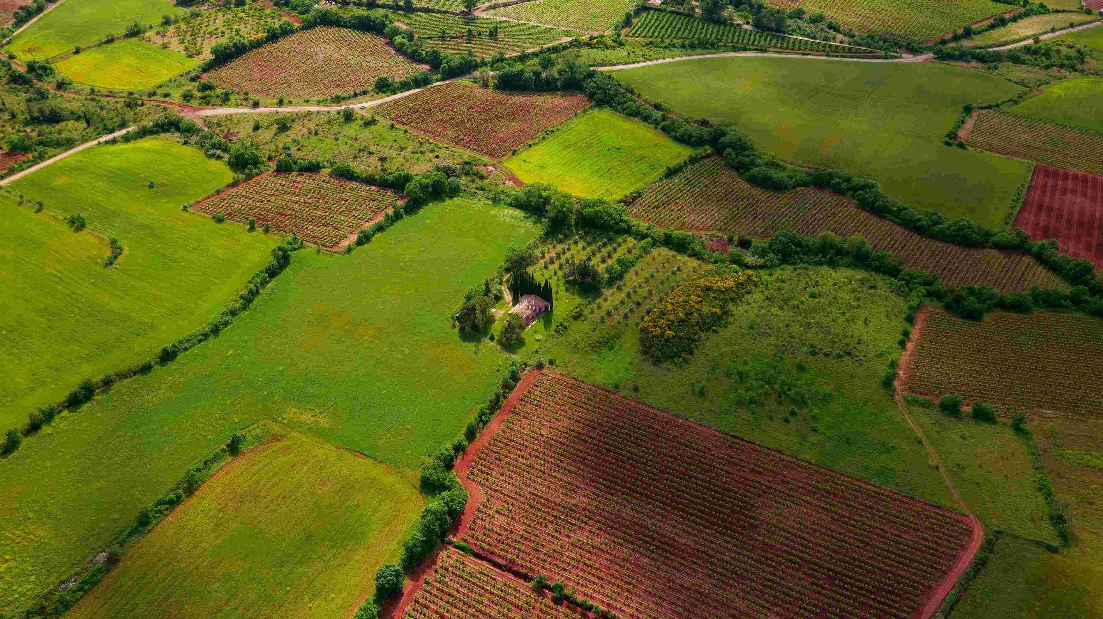 Land Law